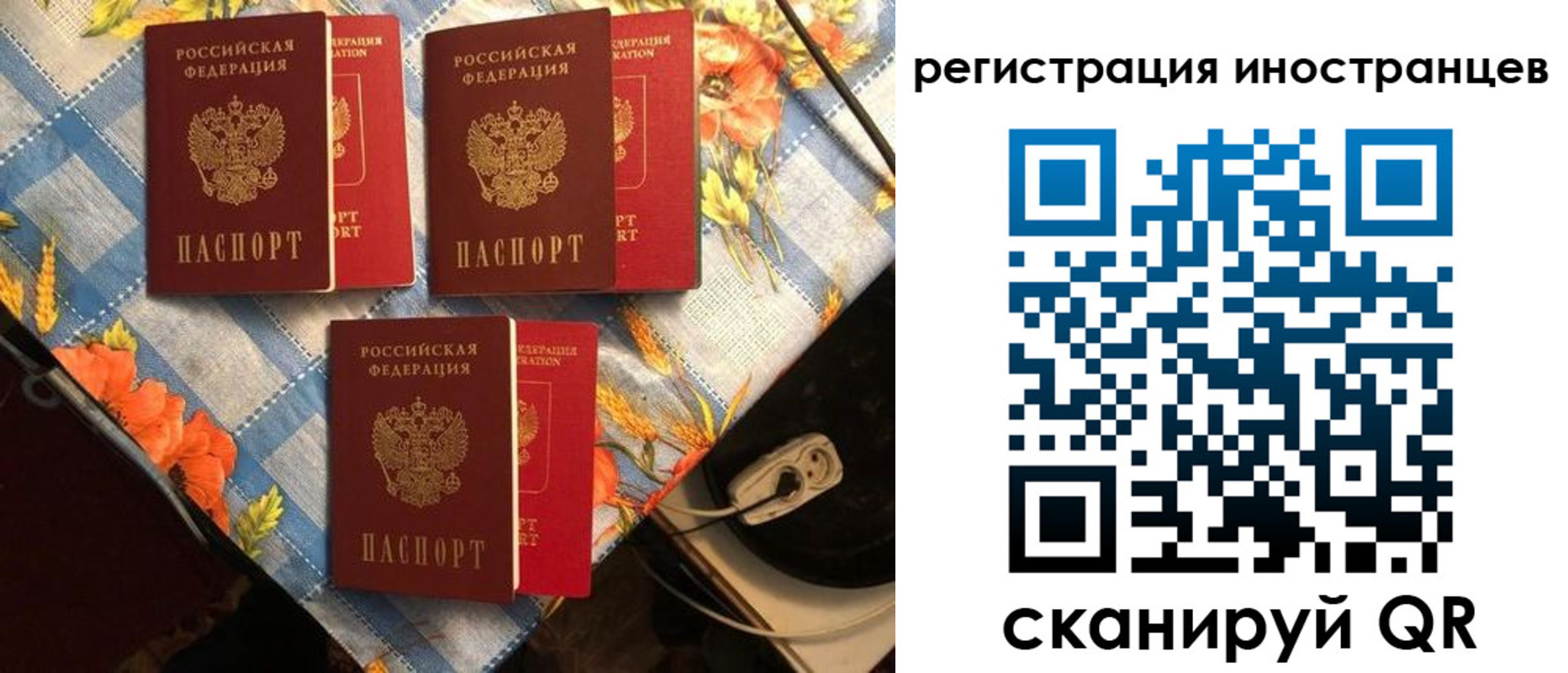прописка поиск в Черногорске